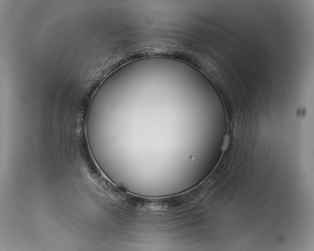 X0000114190546200910231323