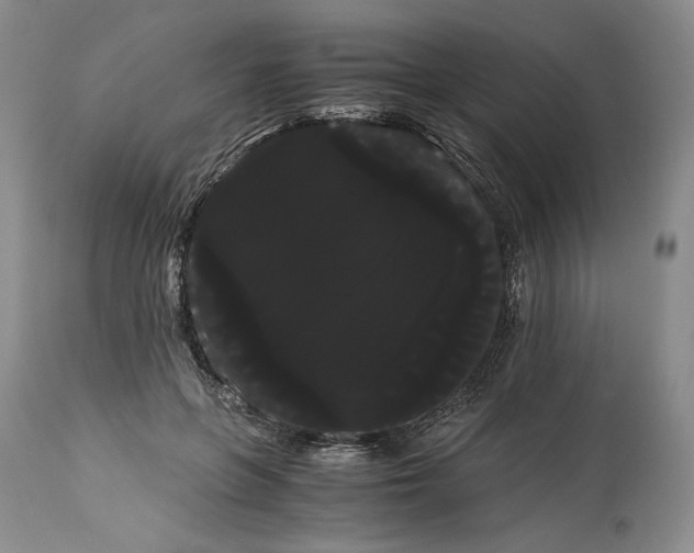 X0000114190551200910231323