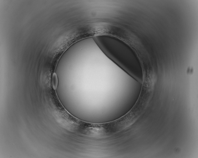 X0000114190552200910231323