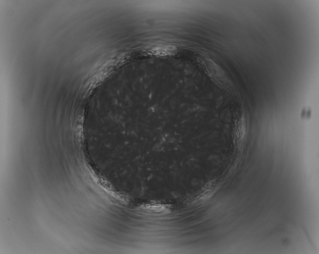 X0000114190553200910231323