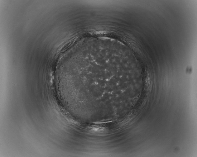 X0000114190555200910231323