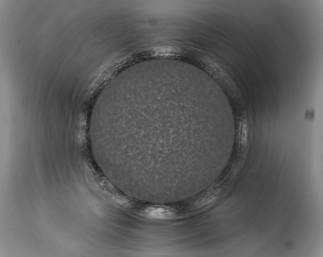 X0000114190557200910231323