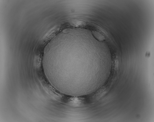 X0000114190558200910231323