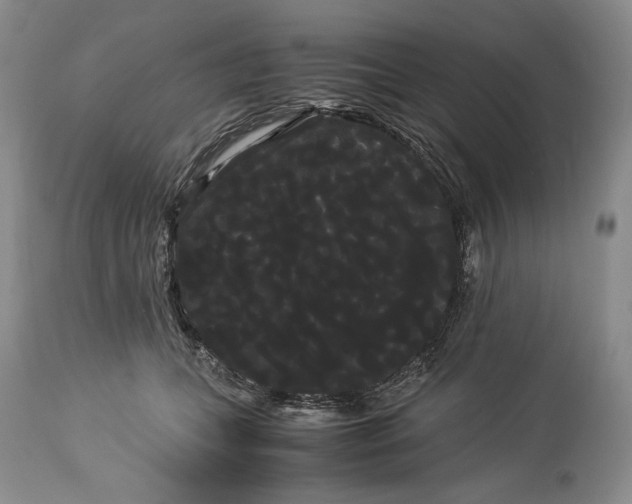 X0000114190559200910231323