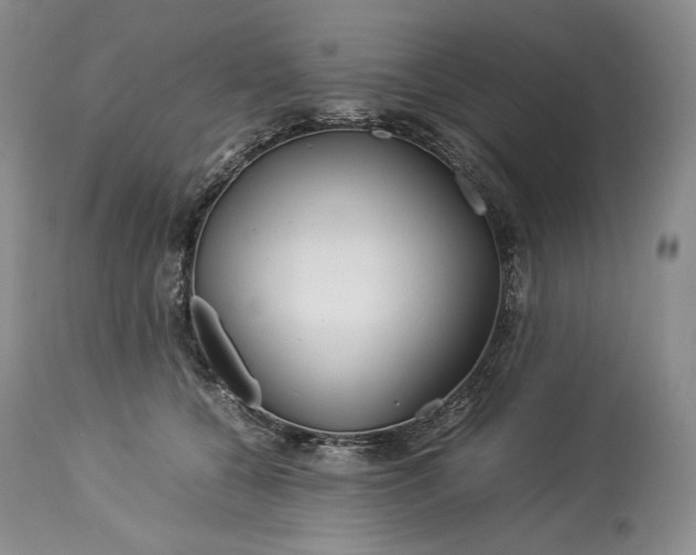 X0000114190560200910231323
