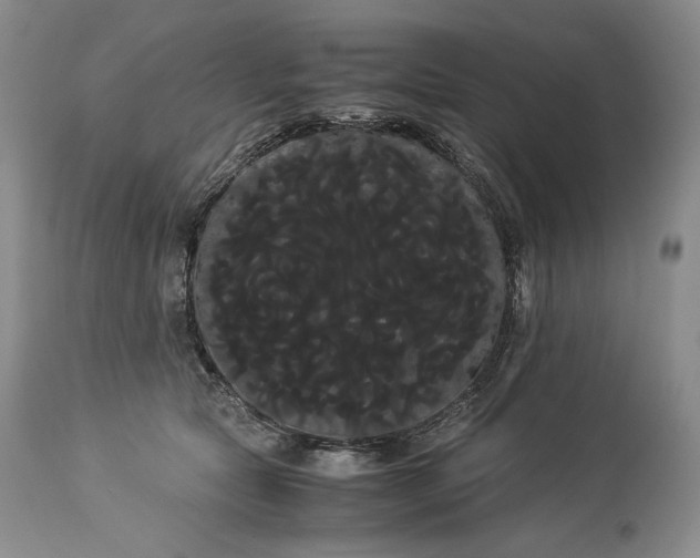 X0000114190561200910231323
