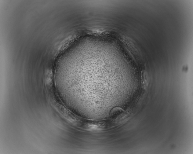 X0000114190563200910231323