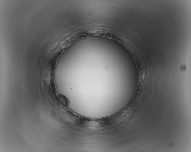 X0000114190566200910231323