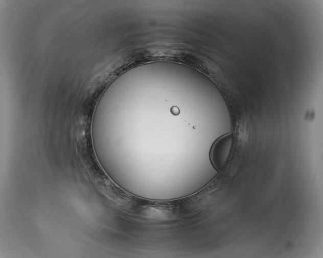 X0000114190567200910231323