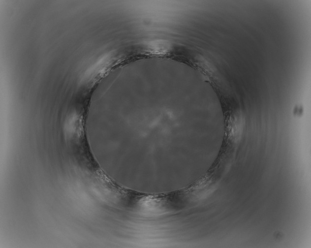 X0000114190568200910231323