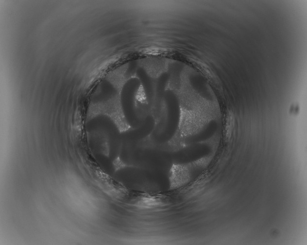 X0000114190569200910231323