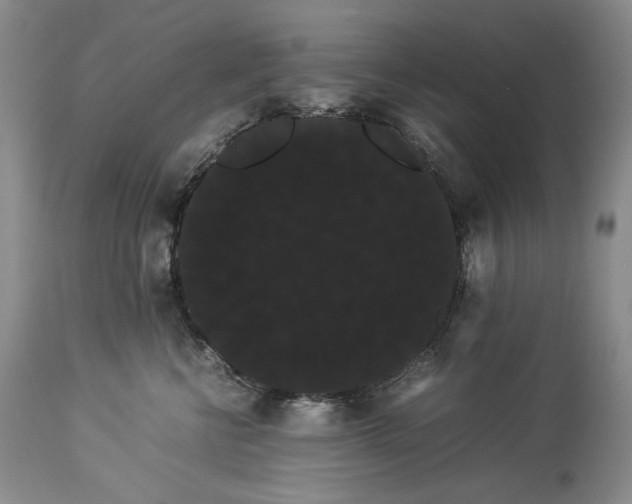 X0000114190570200910231324