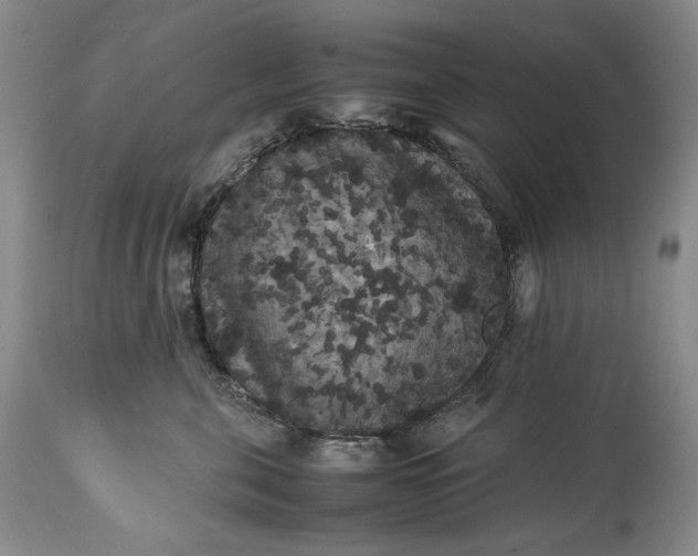 X0000114190571200910231324