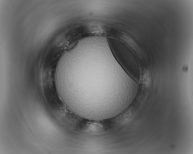 X0000114190572200910231324