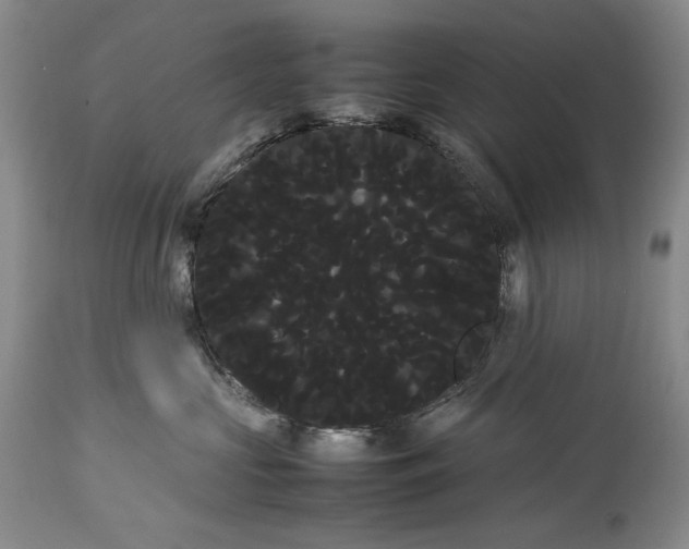 X0000114190573200910231324