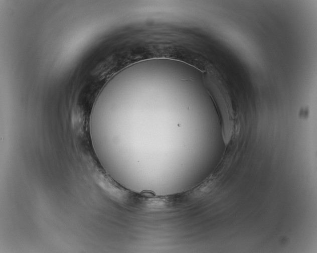X0000114190574200910231324