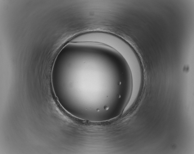 X0000114190577200910231323