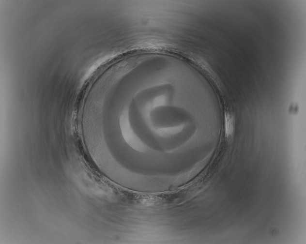 X0000114190579200910231323