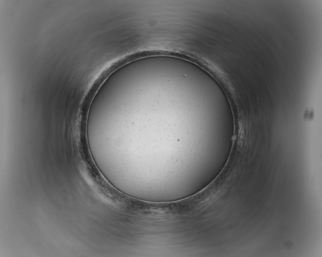 X0000114190580200910231323