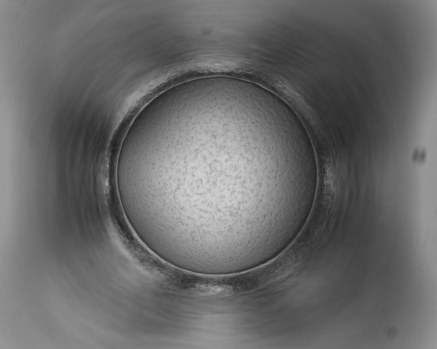 X0000114190582200910231323
