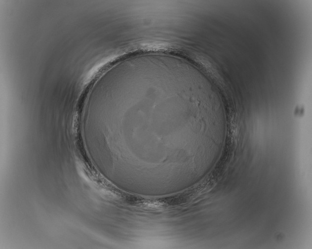 X0000114190583200910231323
