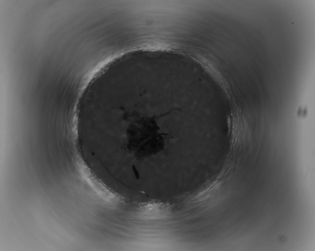 X0000114190584200910231323