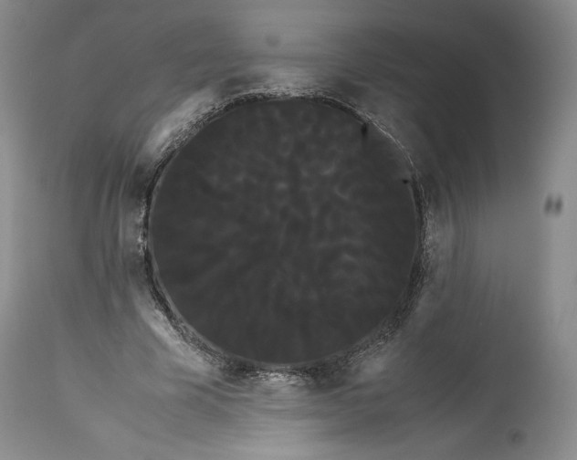 X0000114190585200910231323