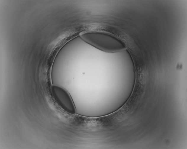 X0000114190587200910231323