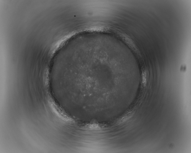 X0000114190588200910231323