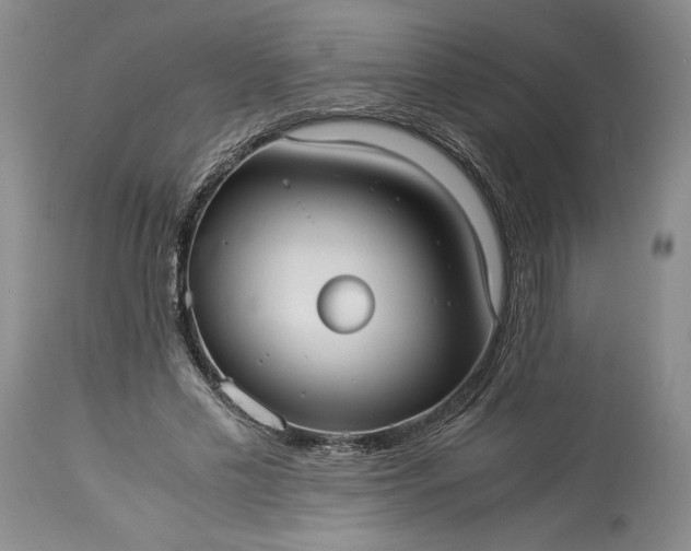 X0000114190589200910231323