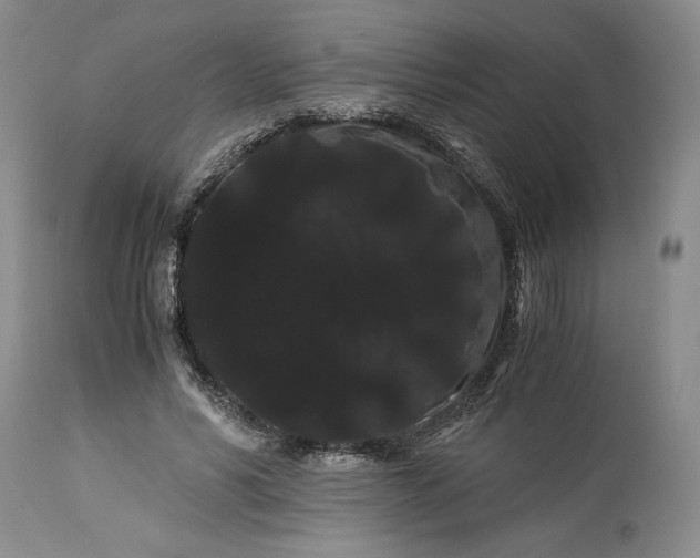 X0000114190590200910231323