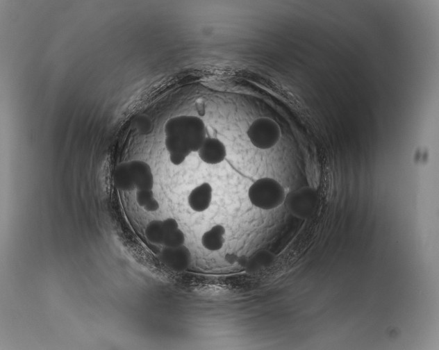 X0000114190594200910231323