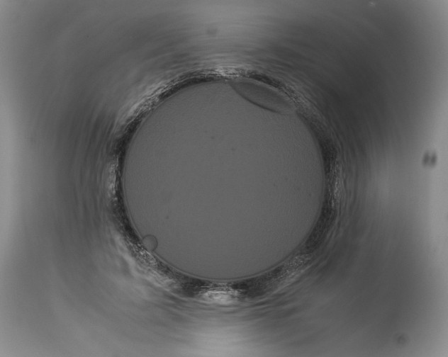 X0000114190595200910231323