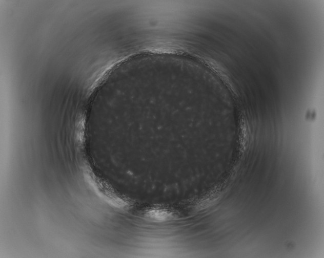 X0000114190596200910231323