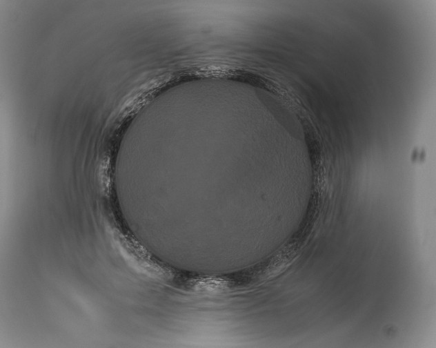 X0000114190599200910231323