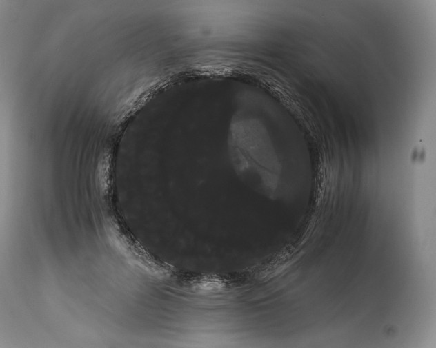 X0000114190600200910231323