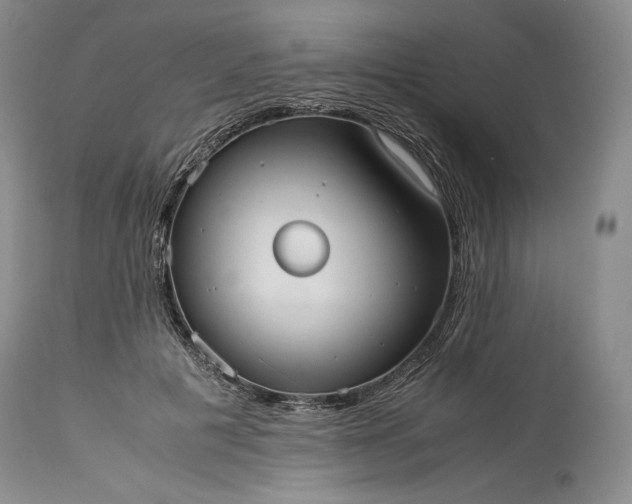 X0000114190601200910231322