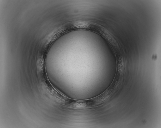 X0000114190604200910231322