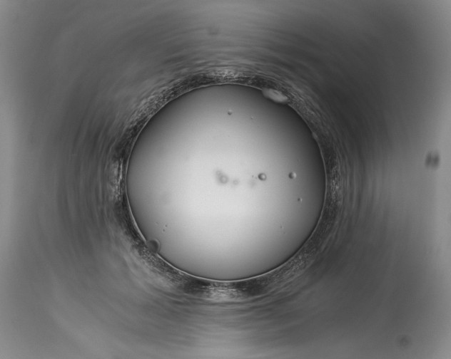 X0000114190605200910231322