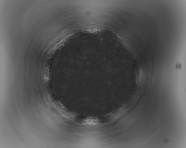 X0000114190606200910231322