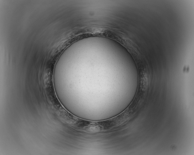 X0000114190608200910231322