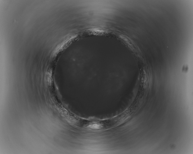 X0000114190610200910231322