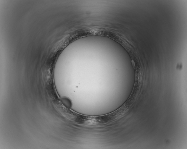 X0000114190611200910231322