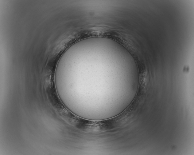 X0000114190615200910231322