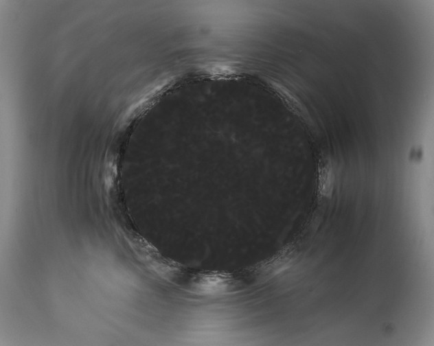 X0000114190618200910231322