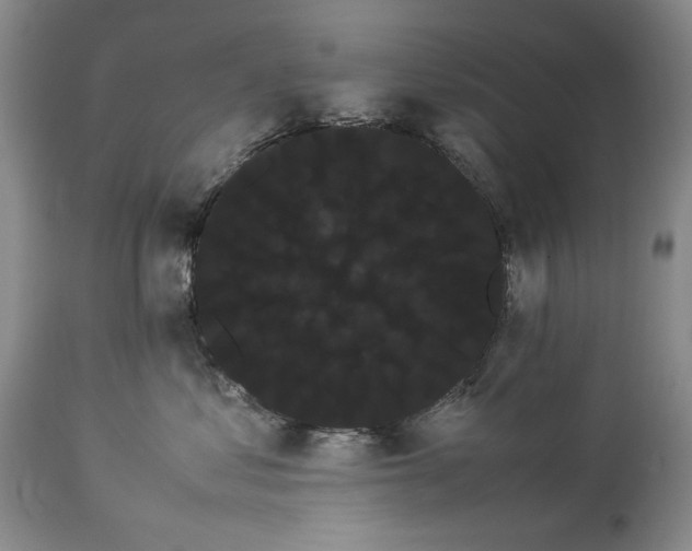 X0000114190621200910231322