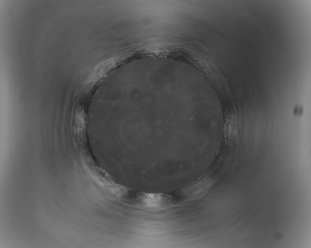 X0000114190623200910231322