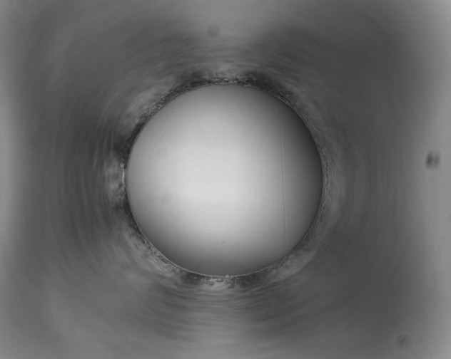 X0000114190624200910231322