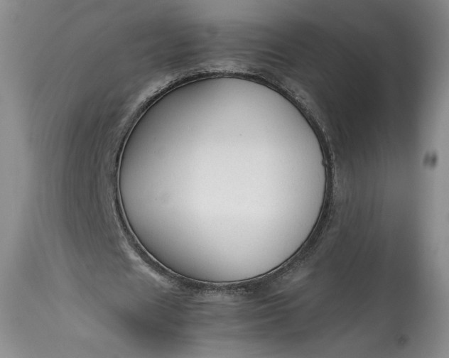 X0000114190625200910231321