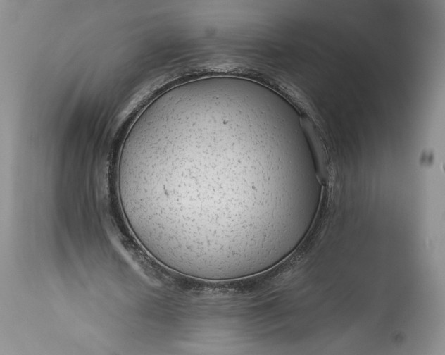 X0000114190626200910231321